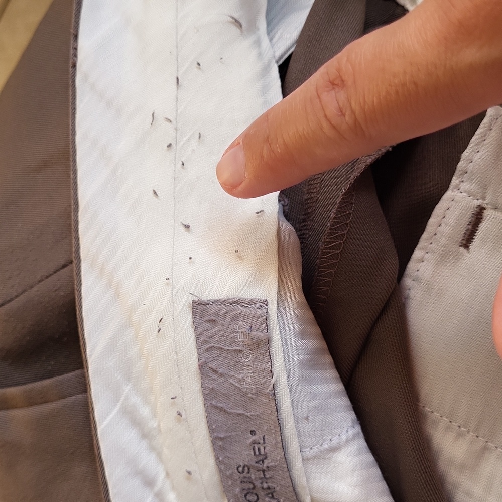Louis Raphael Tailored Pants - Picture 14 of 16